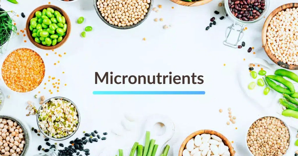 Micronutrients That Matter: The Unsung Heroes of Your Daily Diet